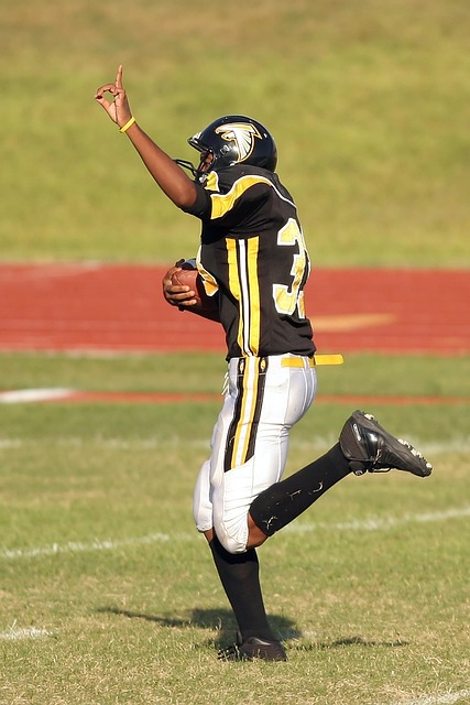 他不仅是 他不仅是